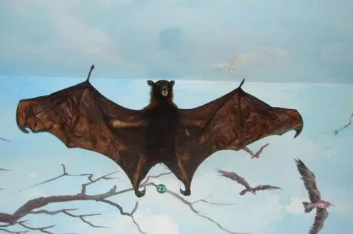 盘点5种神秘诡异的不明生物，第3种曾在我国先后