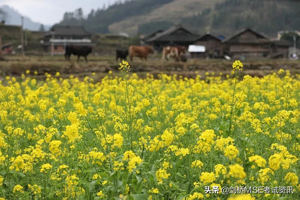 你知道“春分”用英语怎么翻译吗？