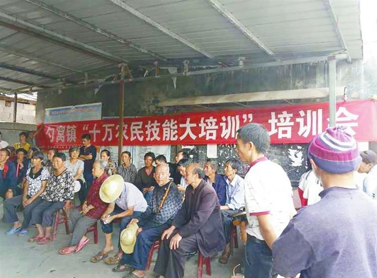 与其每天面临着停工休假的工作，农民工不如尝