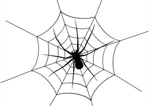 什么是网络蜘蛛，网络蜘蛛的原理介绍？