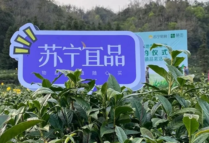 ��ϸϸƷ ��������Ʒ�Ϸ�����ʲô��