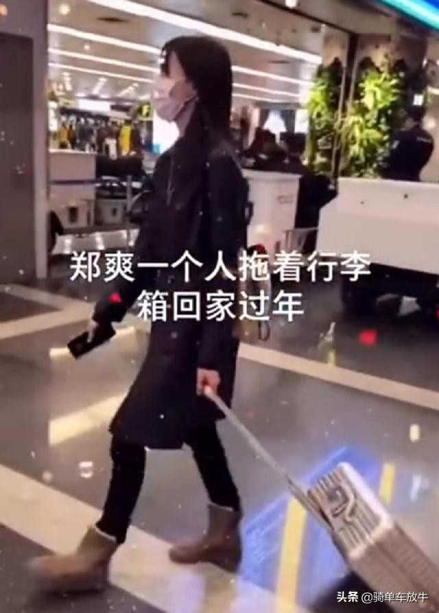 After disturbance of '' of acting pregnant of Zheng Shuang '' first degrees show a body, will after be being banned in the round, have reappear plan? 