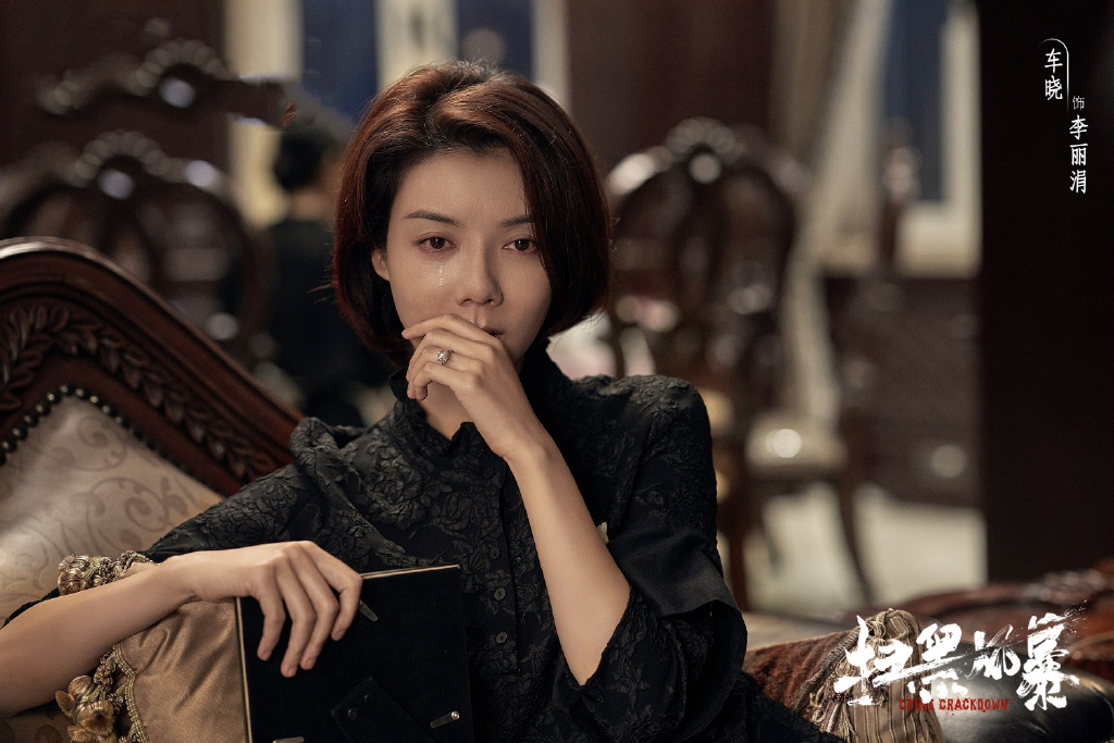 《扫黑》即将收官，盘点剧中九大女演员，酱油角色颜值力压众人