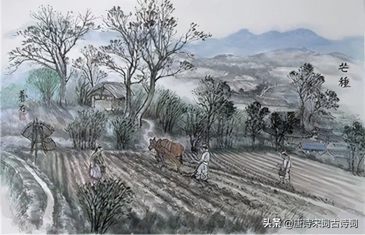 赏析宋代陆游的《时雨》-第1张图片-非凡网