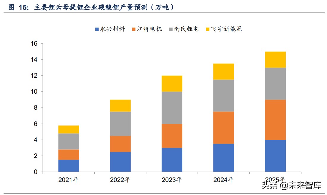 锂行业专题报告：锂云母提锂战略地位提升