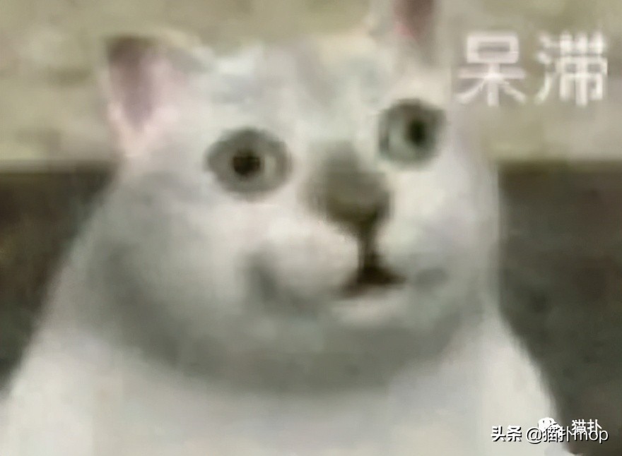 曝光和闺蜜的聊天记录，哈哈哈你们真的不是戏精吗？