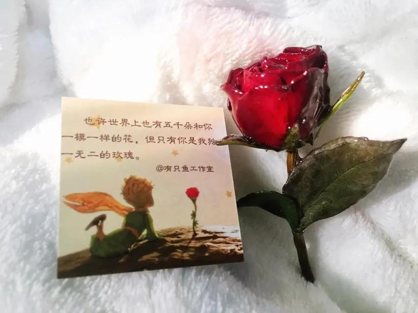 关于玫瑰花的朋友圈文案 朋友圈晒玫瑰花的说说图片