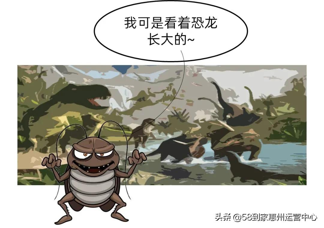 灭蟑螂靠谱的两招,一般人我不告诉他