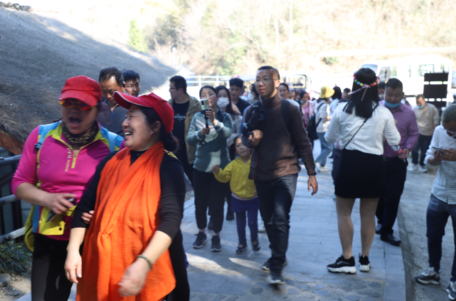 春天已至，人氣旺！金寨百名主播走進龍津溪地助推旅游熱潮