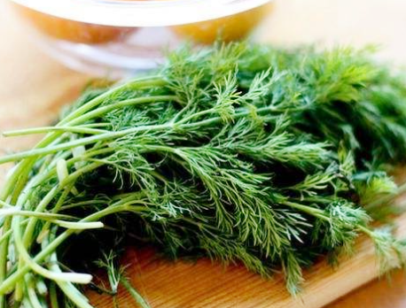 圖片[5]-秘制俄式酸黃瓜腌一腌泡一泡黃瓜酸脆味道純正比買的還好-起舞食譜網(wǎng)