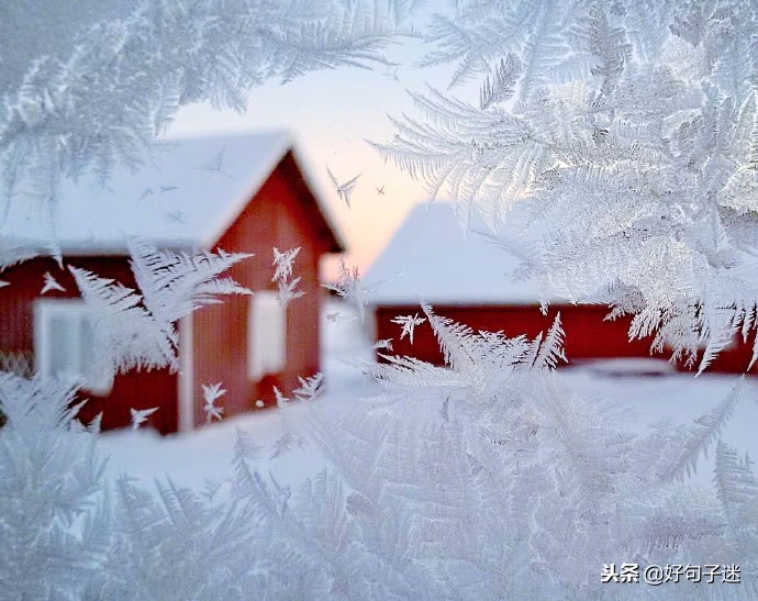 抖音下雪超级火的句子 雪景发朋友圈配一句话图片