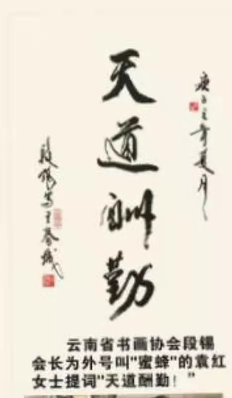服装设计师袁红首创《水墨时尚装饰画》受到画界的赞议获国家版权