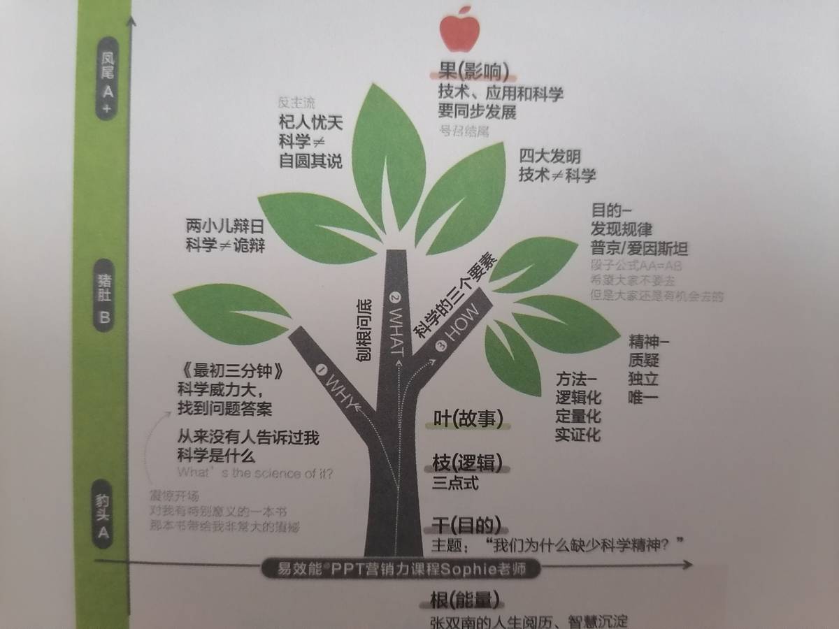 不會PPT演講？“大樹模型”運用起來，做個演講小達人