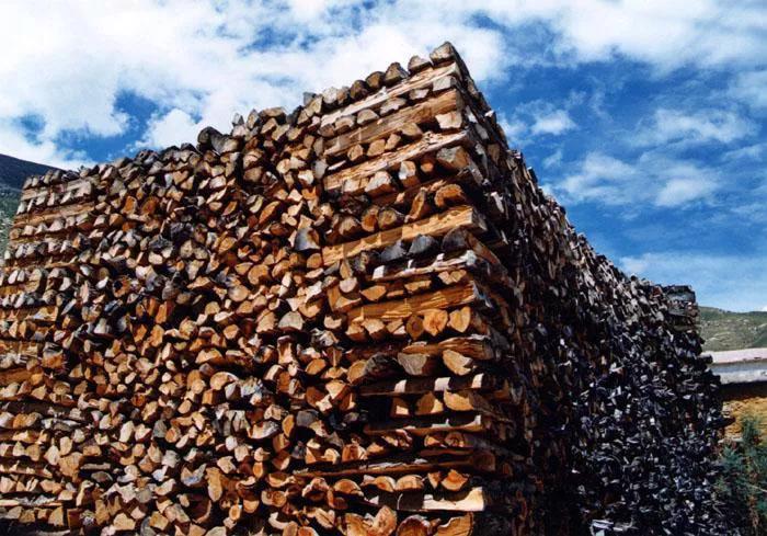「EUTR快讯」匈牙利严厉打击违反欧盟木材法案的贸易商