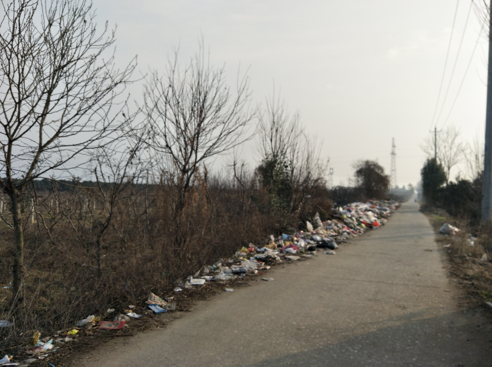 美丽乡村+垃圾围村？