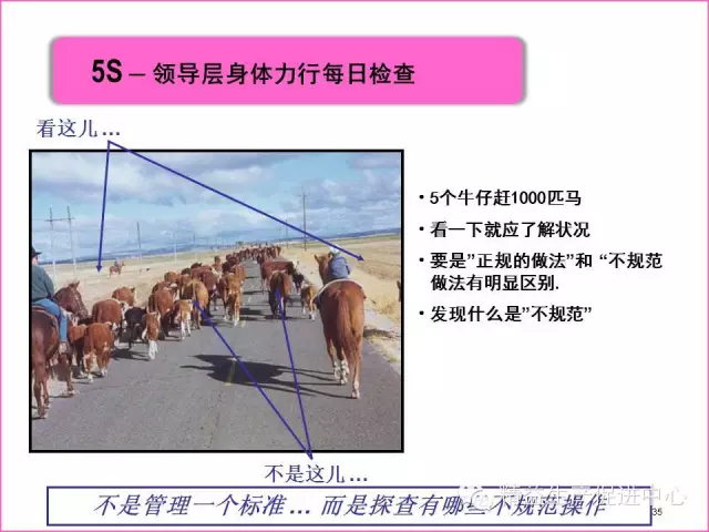 「精益学堂」真正的5S管理应该做什么