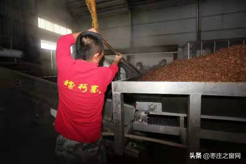 “酒”别重逢 | 唤起枣庄人味觉的记忆，台庄特曲新品荣耀上市