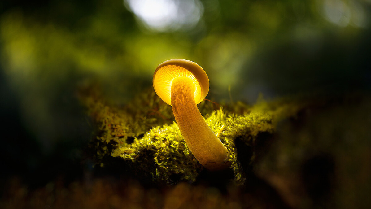 新手从零开始做自媒体—影视剪辑领域详细教程