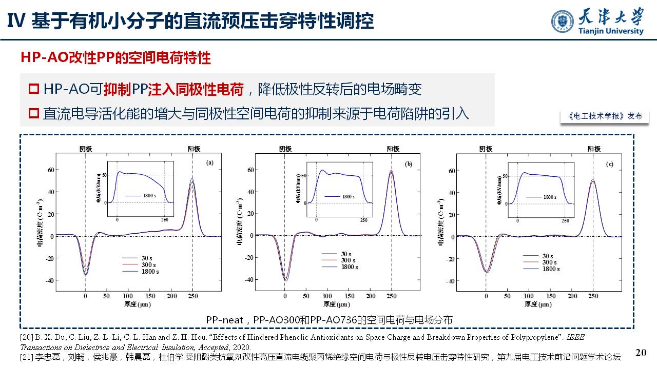 天津大学李忠磊副教授：高压直流电缆绝缘直流预压击穿特性及调控