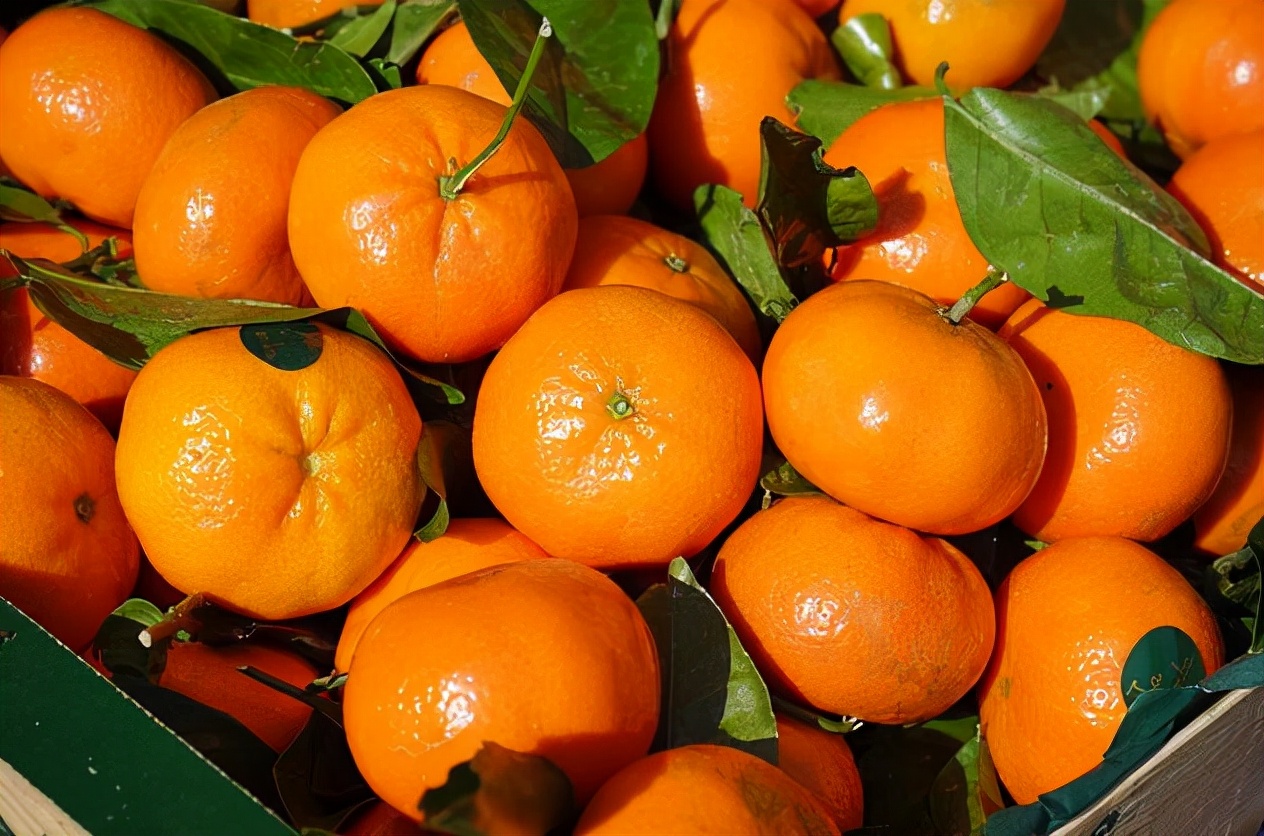 Oranges are thyroid nodules?Reminder To protect the thyroid gland