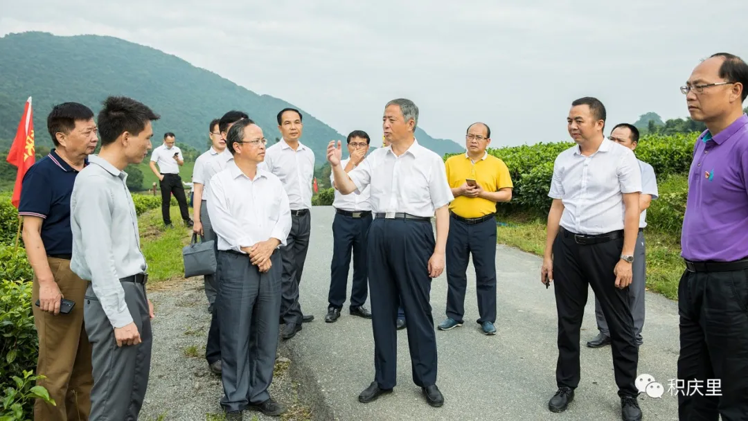 国庆前,国务院扶贫办副主任陈志刚到英德调研产业扶贫工作