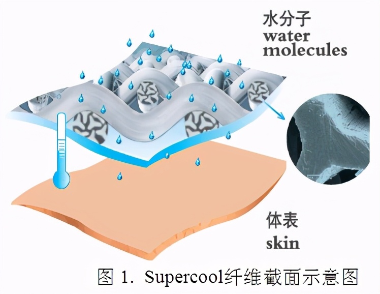 CMF实验室 | 异形纤维：畸形并不是缺陷，而是奇迹