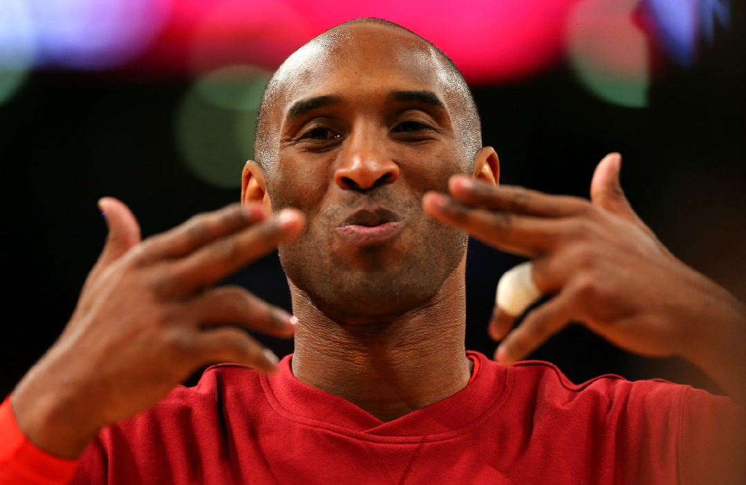 意外和明天究竟哪个到？赵忠祥后再无动物世界，球星科比遗憾离世