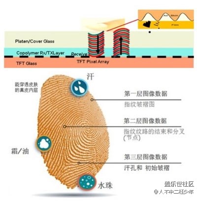 【种树】三星S10的超音波屏下指纹鉴别究竟是什么？