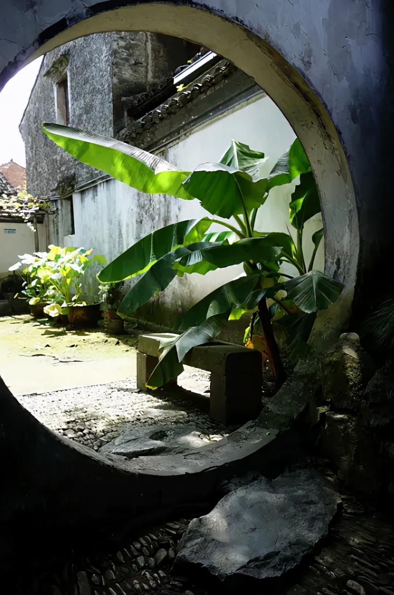 曾祥裕风水团队考察绍兴青藤书屋，认为布局虽精致，但太阴湿