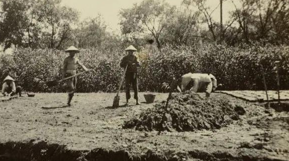 杀害江姐的凶手藏在江西8年，却因骑自行车暴露