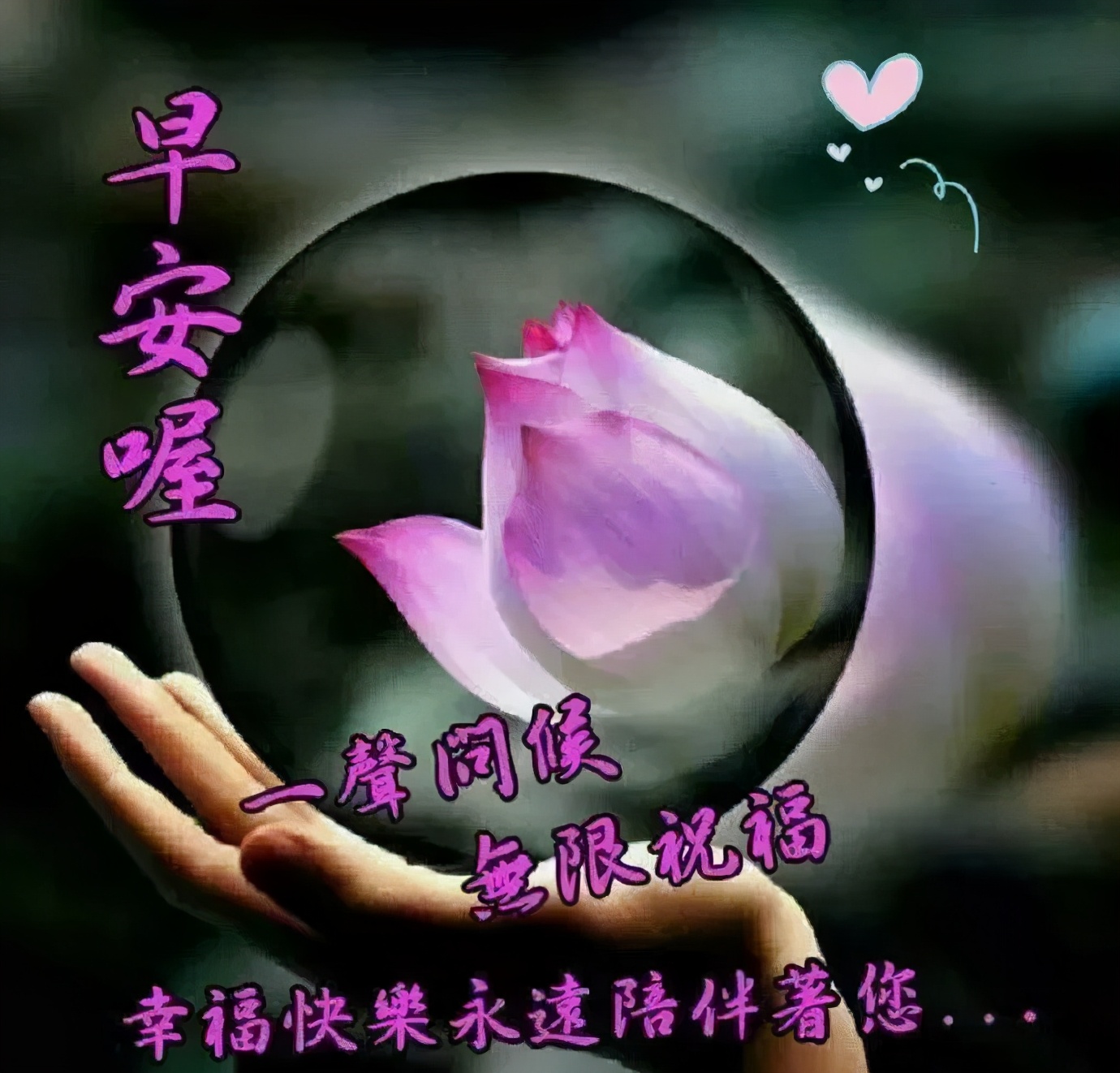 最新的早上问好祝福图片带字，最真诚的早安问候美图图片