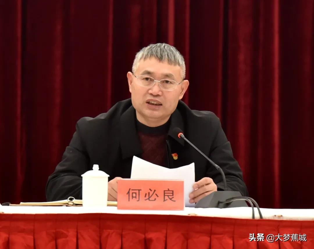 区领导何必良,何邦恒,蓝晓平,黄少芳,陈秀莺,张志雄,石水凤,陈良生,林