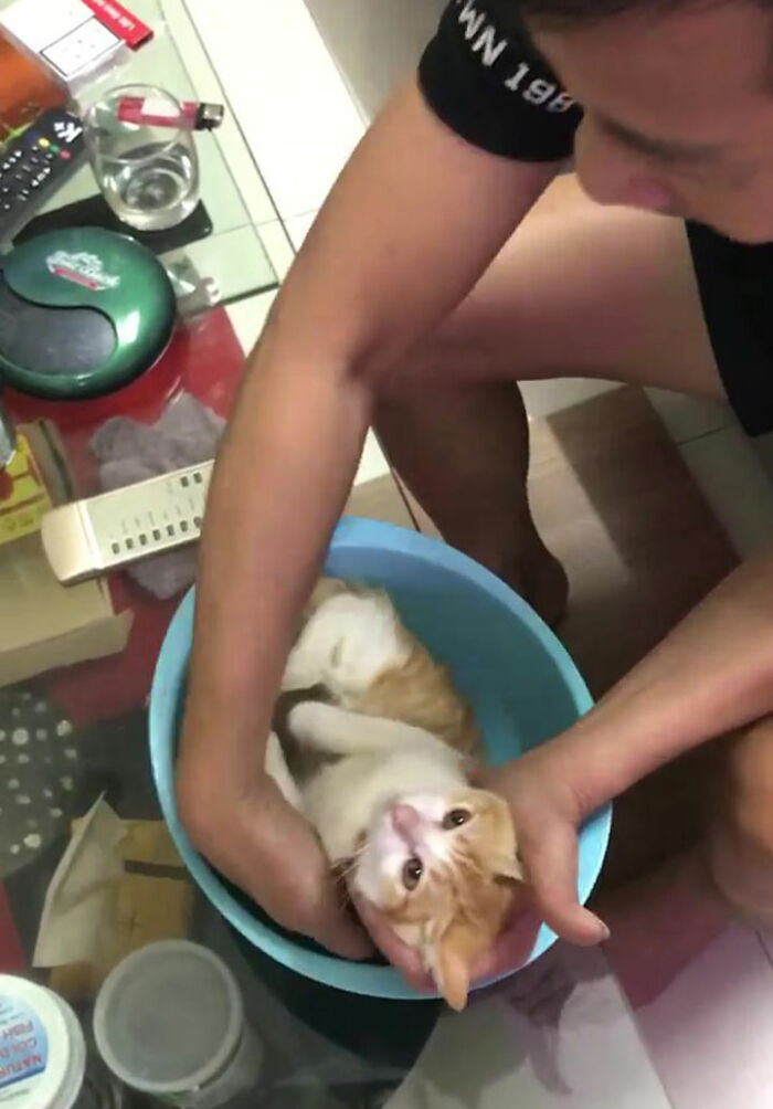 爷爷把猫当示范，教儿子如何给婴儿洗澡