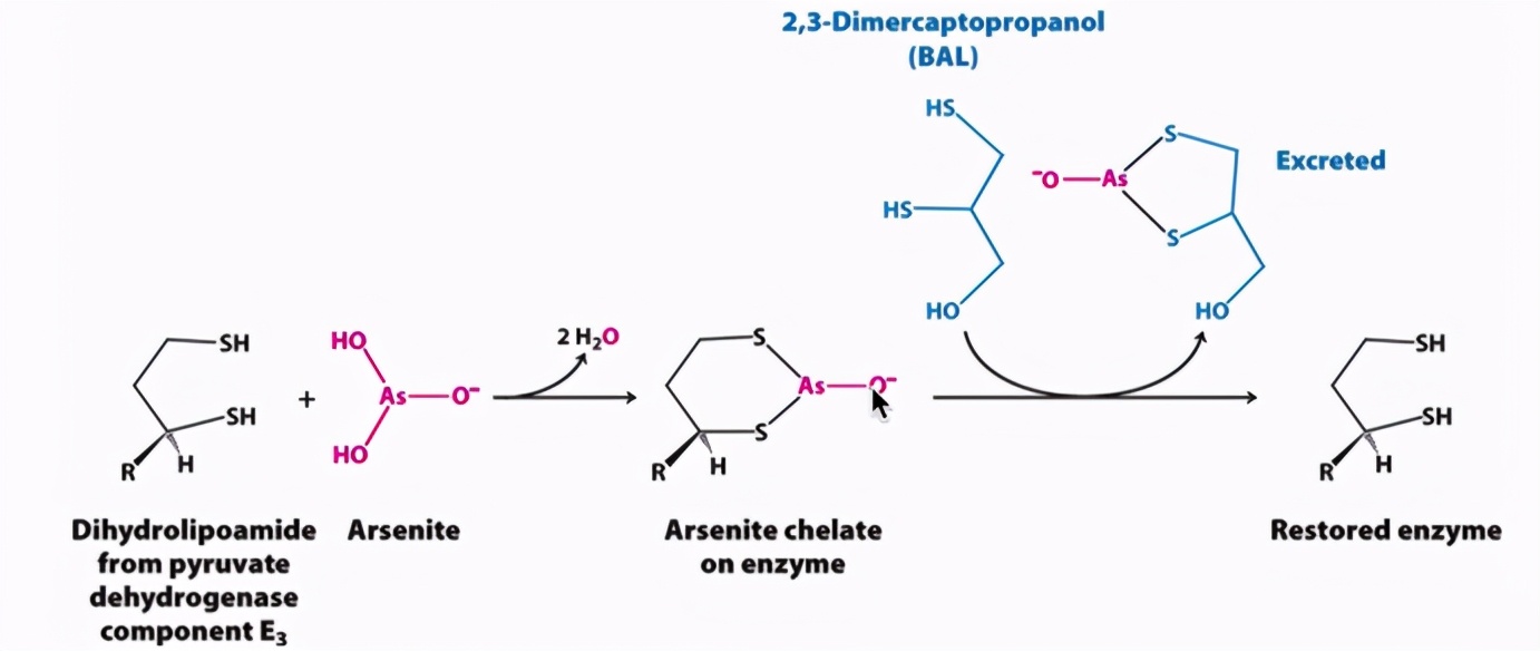 正邪兼修的砷元素：到底是我們的敵人，還是朋友？