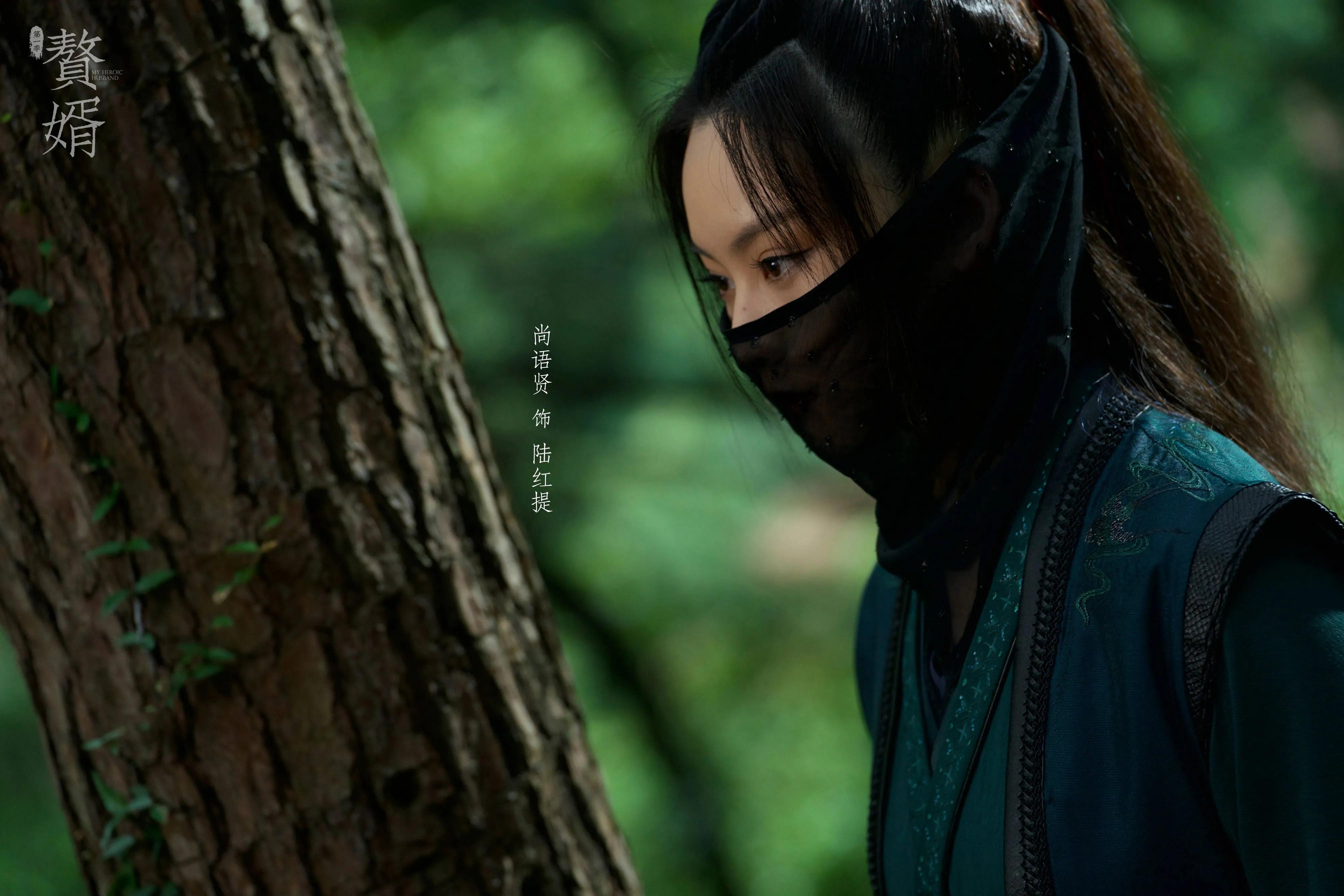 铺垫|《赘婿》三大铺垫预示：苏家事业跌低谷被灭门 耿护院下线，陆红提身世惨烈