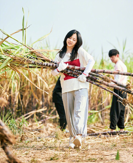 《向往》谭松韵返场，身形容貌变化明显，当初为何没有留下来？