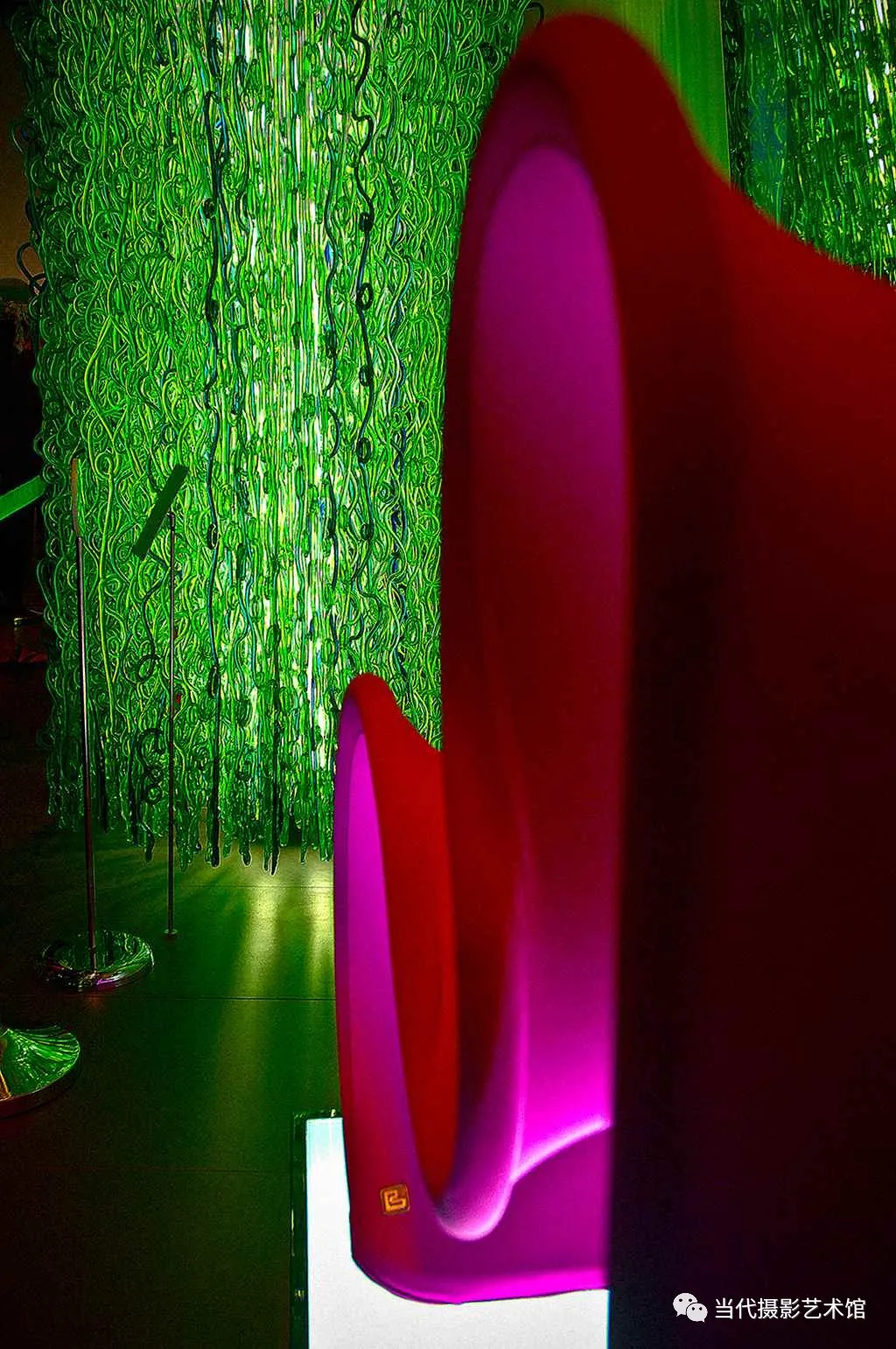 第26集:《本体的光芒——中摄协顾问专家邀请展》张桐胜专题