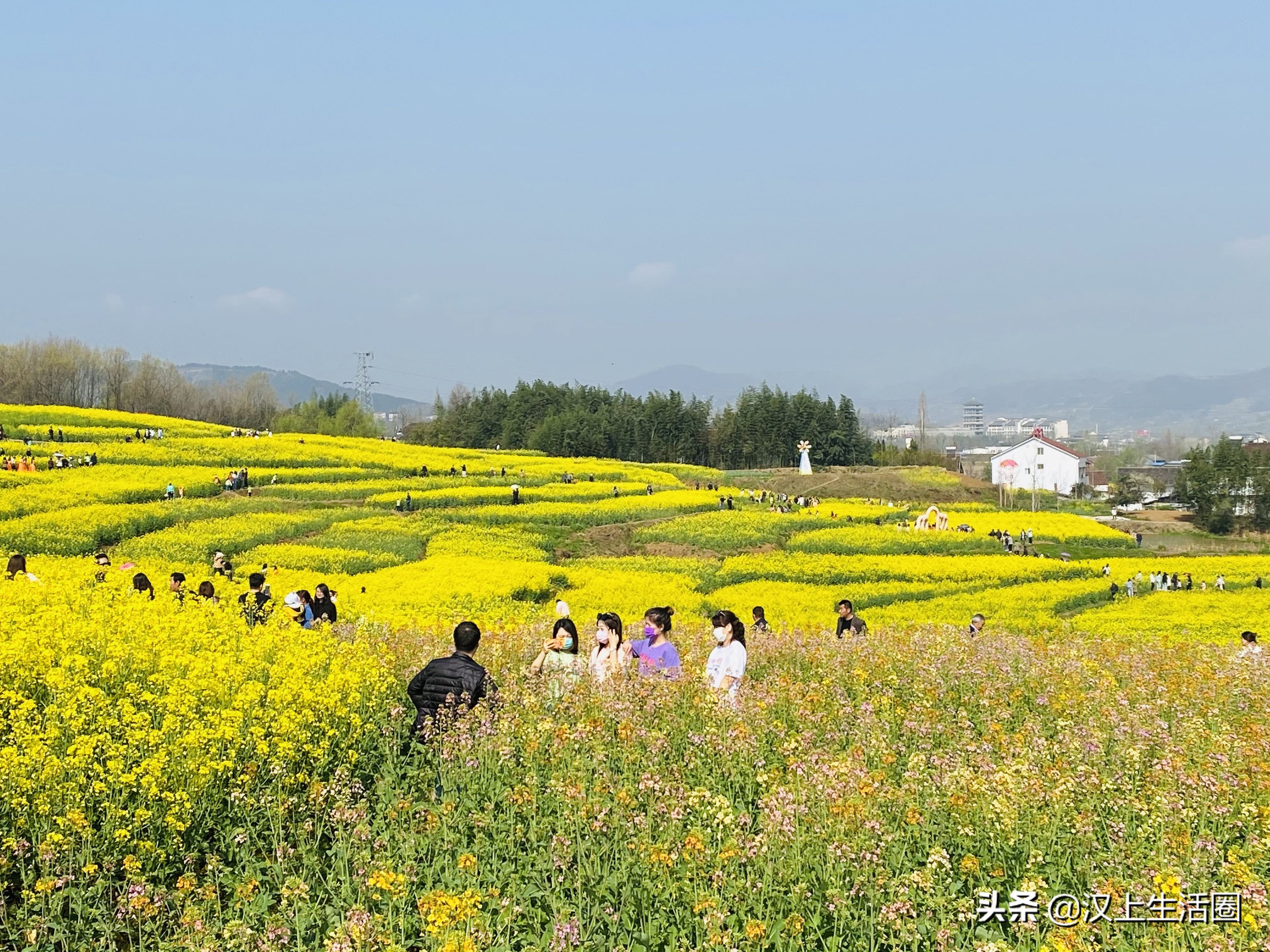 21中国最美油菜花海汉中旅游文化节主会场高土坝在什么地方 汉上生活圈 Mdeditor