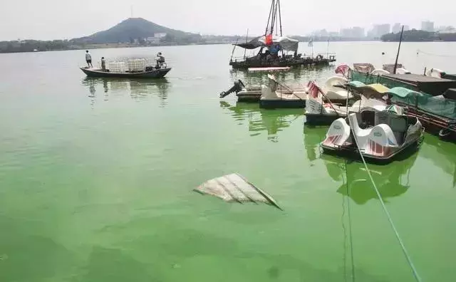 污水处理中常规的指标有哪些？