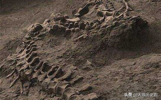 解读现代坠龙事件，真龙究竟是虚幻还是真有其事?