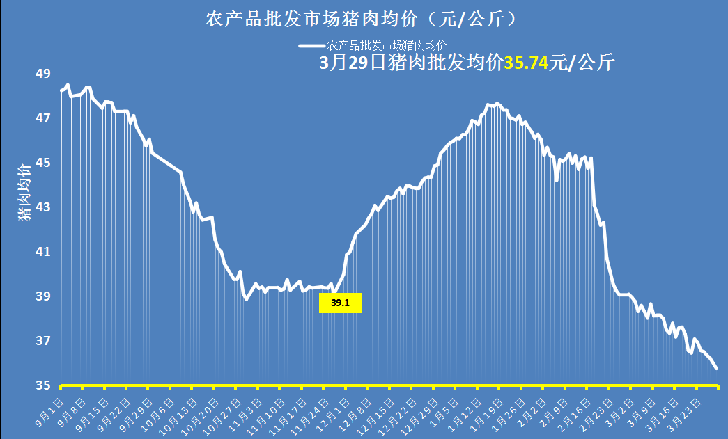 猪价大跌4.6元，行情跌得一塌糊涂，肥猪当道4月猪价还要跌？