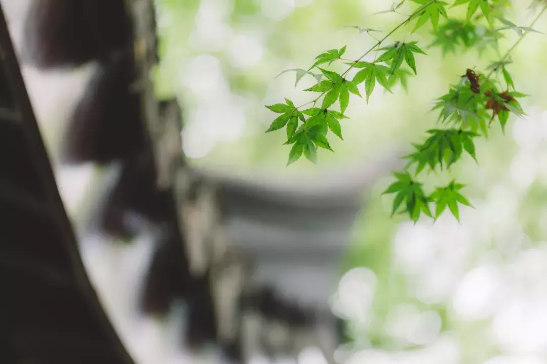 十首“二月二”诗词,阅尽“龙抬头”节日习俗-第9张图片-非凡网 十首“二月二”诗词,阅尽“龙抬头”节日习俗-第9张图片-非凡网