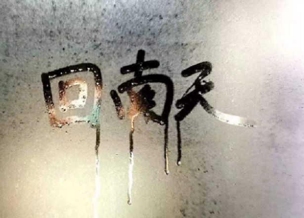 另一个角度看海南！重磅经济政策下的海南，那