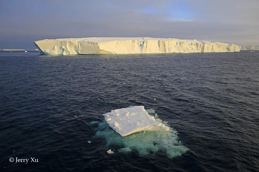 疫情全国清零了！如果有机会去南极看冰山企鹅，你愿意待几天？