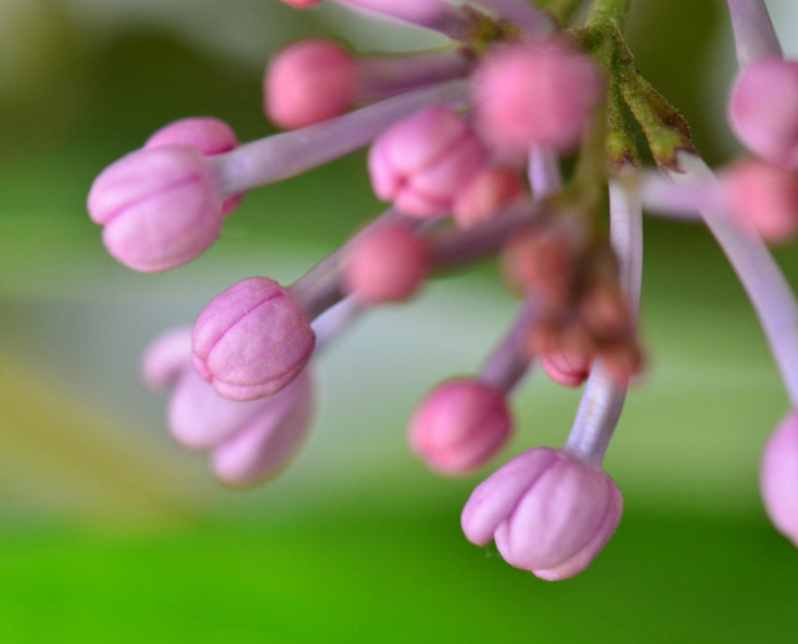 71岁老人说：人与人之间，不能看得太清楚，看得太清，你就败了