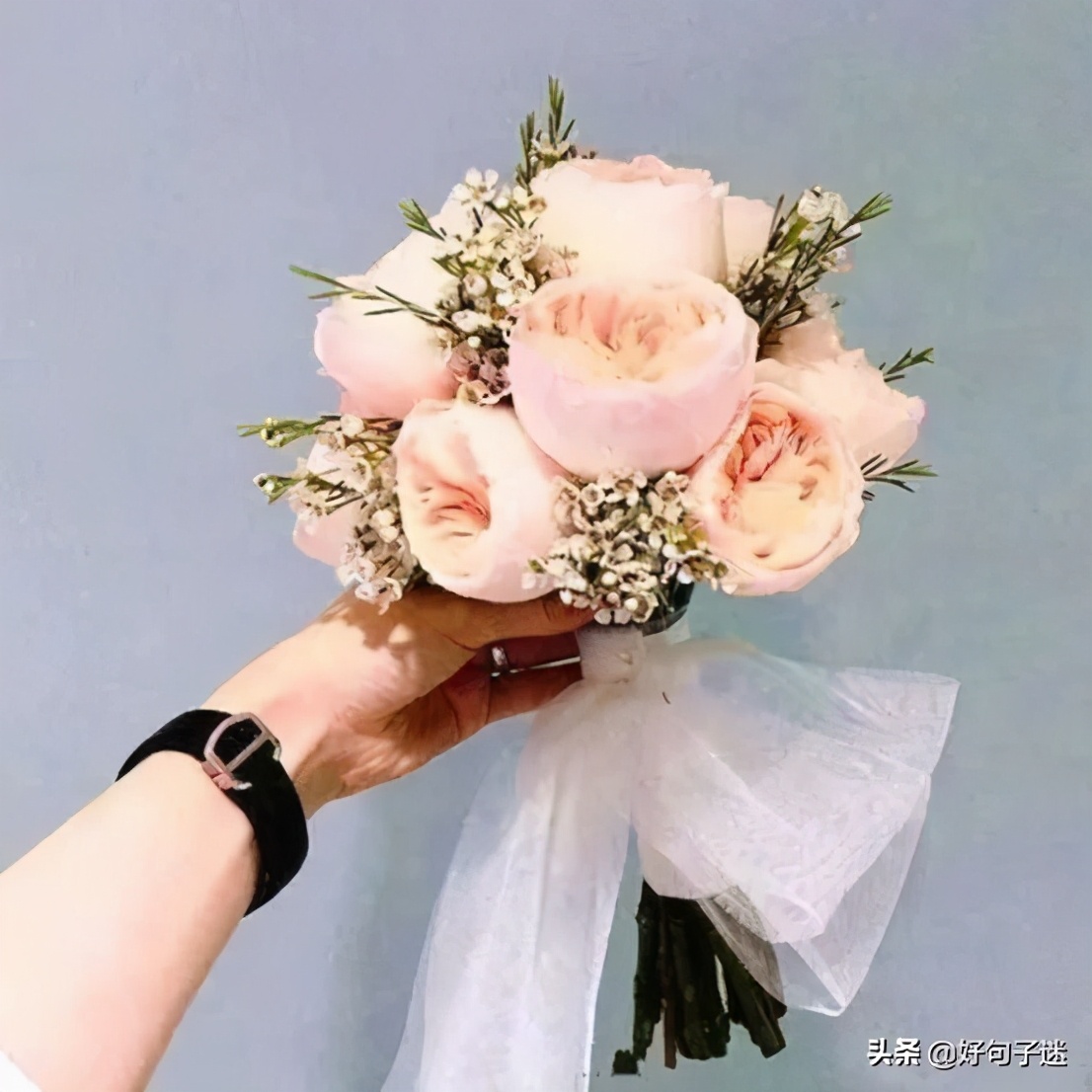 最能打动人心的情感话 相遇不易,彼此珍惜句子图片