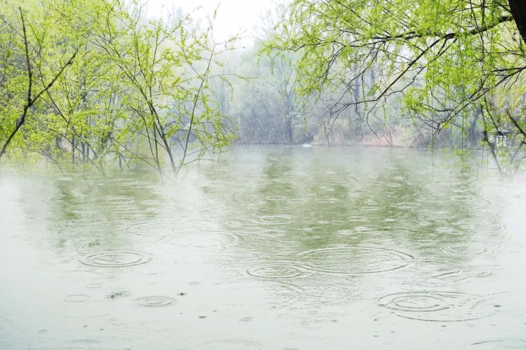 最美的春雨诗词，春雨润万物，人间朝气生-第9张图片-非凡网