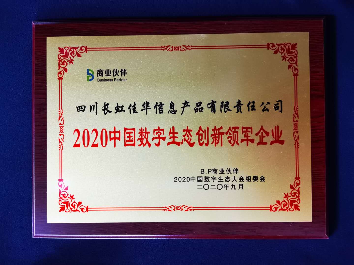做好ICT生态圈连接者 长虹佳华荣膺中国数字生态多项嘉奖