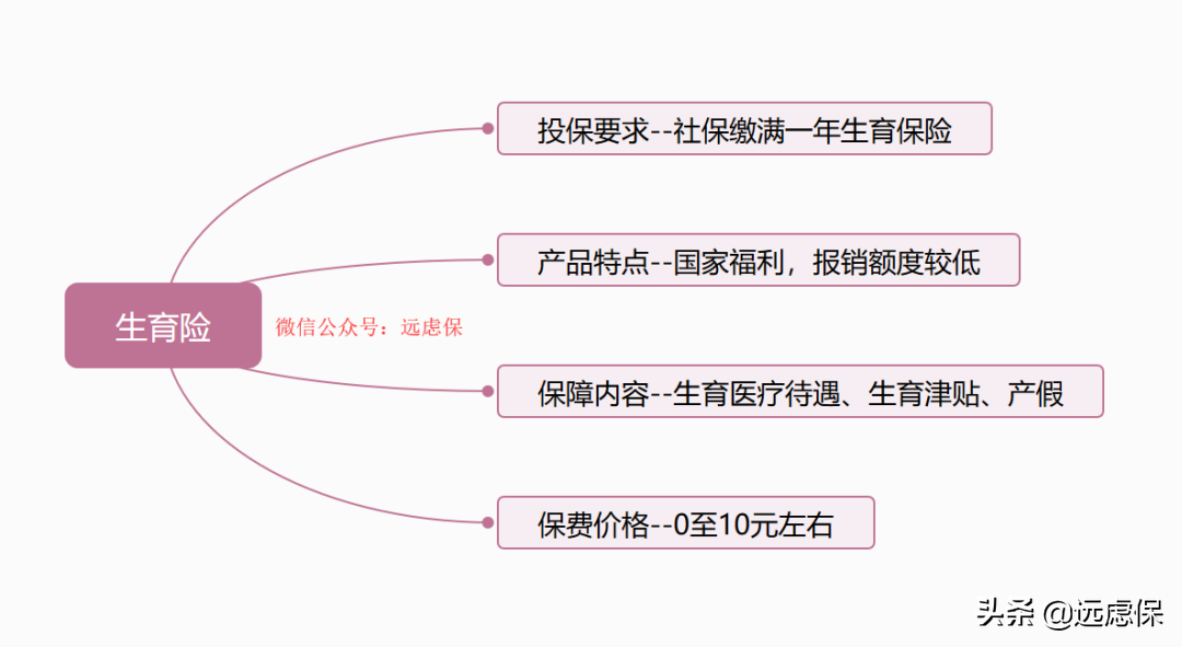 一文读懂生育保险，不会报销你就亏大了 第2张