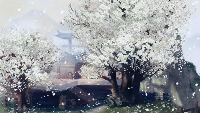 古风美景 | 夜灯缈澜，飞花自在